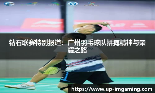 IM电竞官方网站